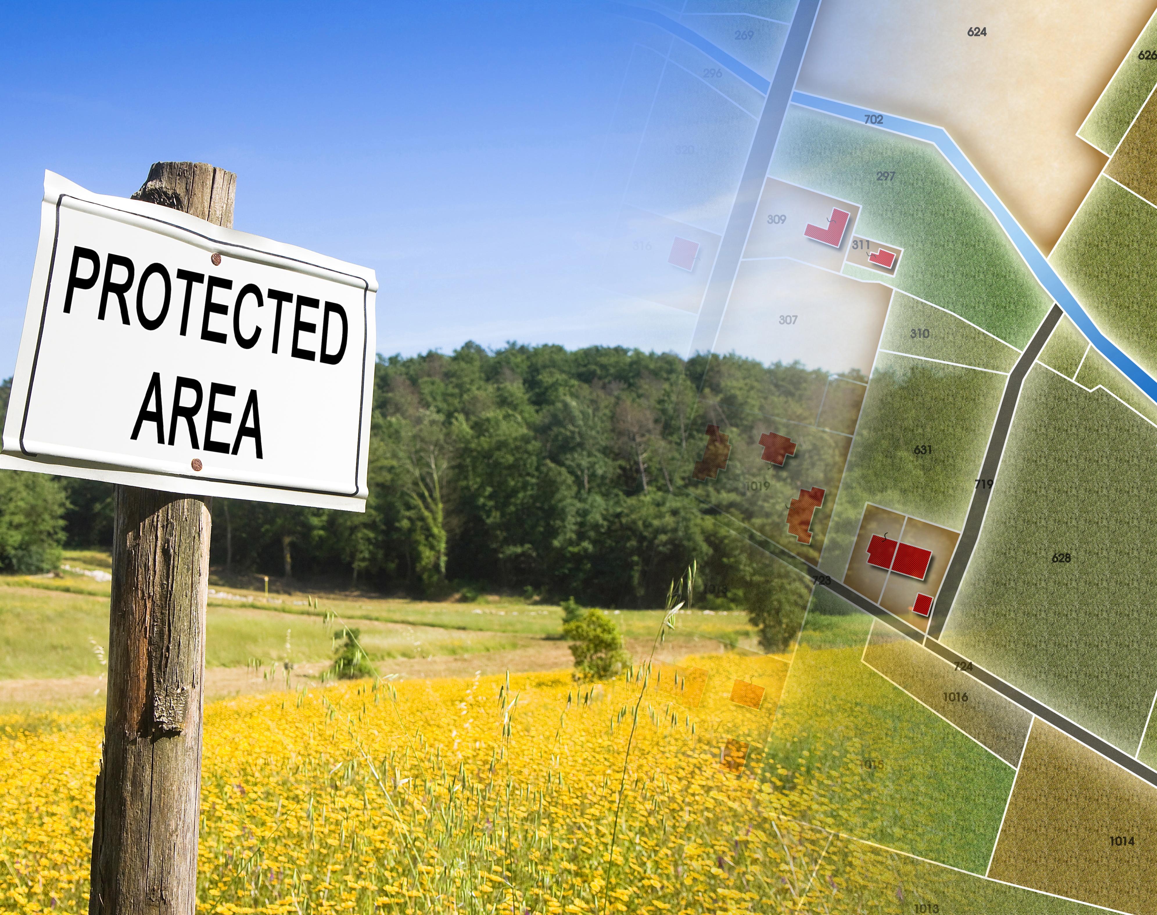 Site Selection, Leasing and Documentation
